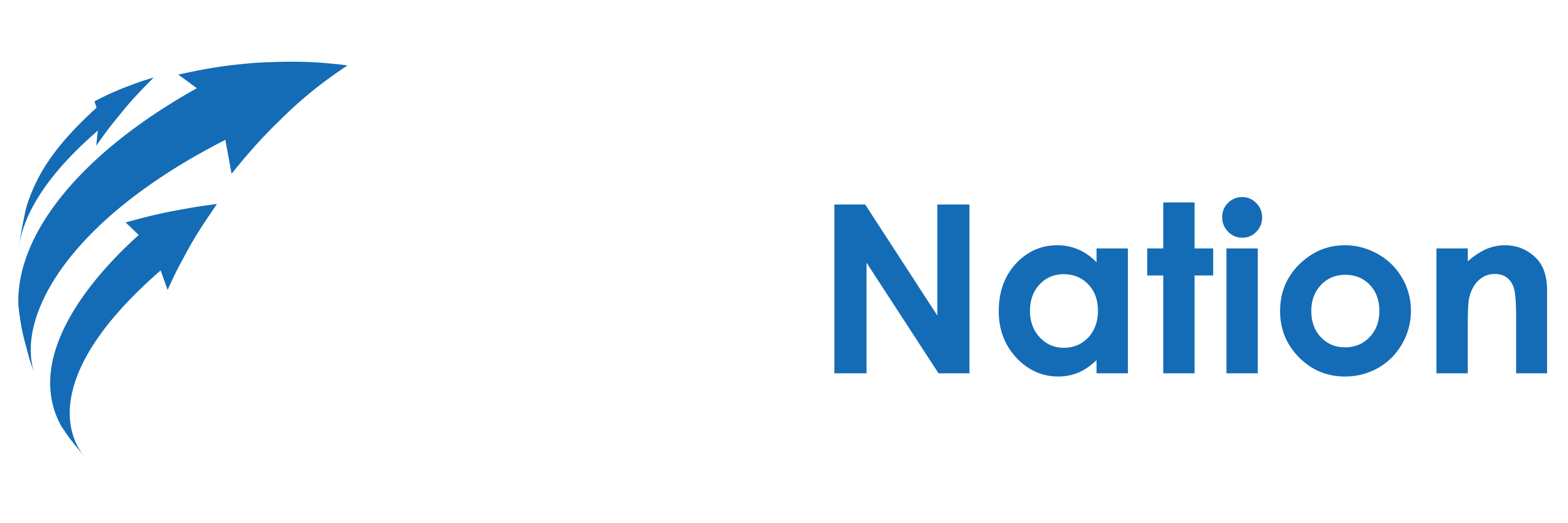 TransNation Logo